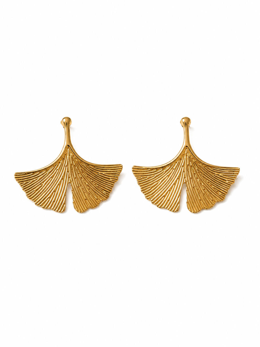 Ginkgo Kupe